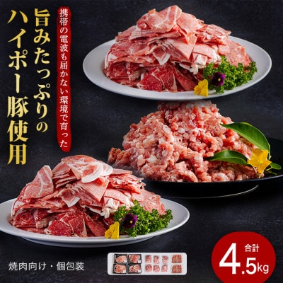山口県産豚肉盛り合わせ4.5kg　旨みたっぷりのハイポー豚