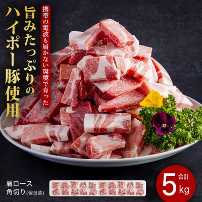 山口県産豚肩ロース角切り250g×20パック小分けセット　旨みたっぷりのハイポー豚