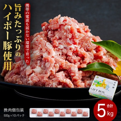 山口県産豚挽肉500g×10パック小分けセット　旨みたっぷりのハイポー豚