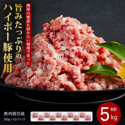 山口県産豚挽肉500g×10パック小分けセット　旨みたっぷりのハイポー豚