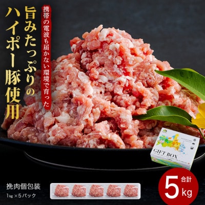 山口県産豚挽肉1kg×5パック小分けセット　旨みたっぷりのハイポー豚