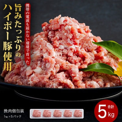 山口県産豚挽肉1kg×5パック小分けセット　旨みたっぷりのハイポー豚