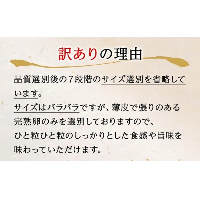 訳あり たらこ 明太子 合計1.9kg (たらこ1.4kg+明太子500g) めんたいこ 規格外