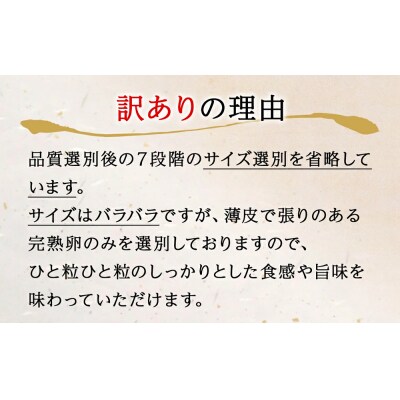 訳あり たらこ 明太子 合計1.7kg (たらこ700g+明太子500g×2) 規格外 不揃い