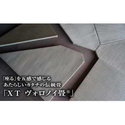 伝統素材デザイン畳　XTヴォロノイ4.5