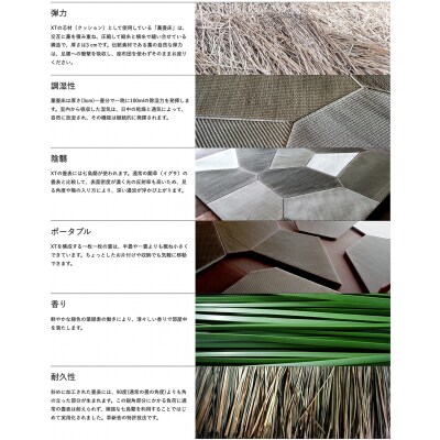 伝統素材デザイン畳　XTヴォロノイ4.5