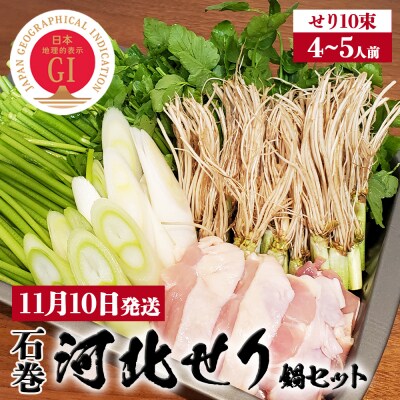 【11月10日発送】石巻伝統野菜「河北せり」のセリ鍋セット( 4-5人前 ・ せり 10束 )