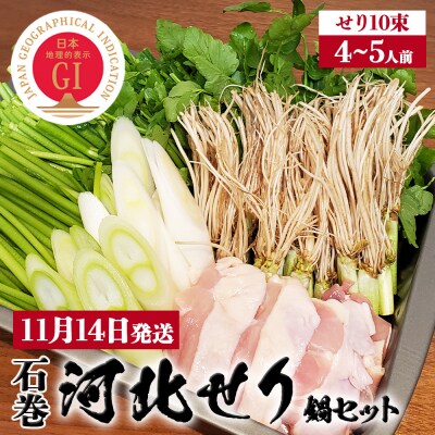 【11月14日発送】石巻伝統野菜「河北せり」のセリ鍋セット( 4-5人前 ・ せり 10束 )