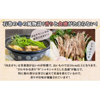 【11月14日発送】石巻伝統野菜「河北せり」のセリ鍋セット( 4-5人前 ・ せり 10束 )