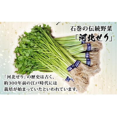 【11月14日発送】石巻伝統野菜「河北せり」のセリ鍋セット( 4-5人前 ・ せり 10束 )