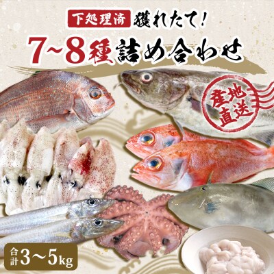山神丸の獲れたて直送!石巻の鮮魚(7～8種)詰め合わせ3～5kg(大)