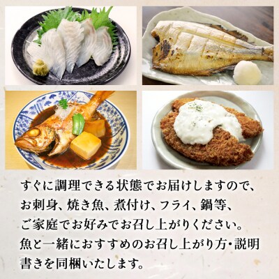 山神丸の獲れたて直送!石巻の鮮魚(7～8種)詰め合わせ3～5kg(大)