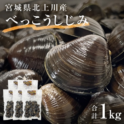 北上川のべっこうしじみ 1kg