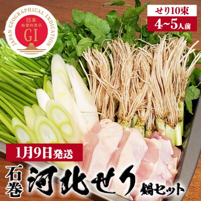 【1月9日発送】石巻伝統野菜「河北せり」のセリ鍋セット( 4-5人前 ・ せり 10束 )