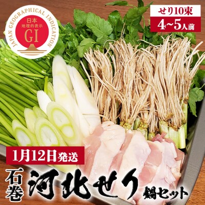 【1月12日発送】石巻伝統野菜「河北せり」のセリ鍋セット( 4-5人前 ・ せり 10束 )