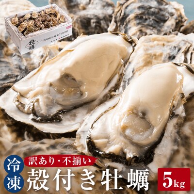 ＜訳あり・不揃い＞冷凍殻付き牡蠣 5kg 宮城県 石巻市 三陸産 カキ かき 加熱用 カンカン焼き