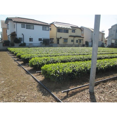 【地域ブランド】自家製東京狭山茶セット