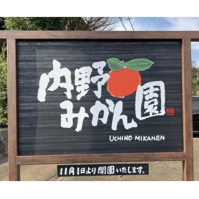 内野みかん園のみかんワイン 375ml×2本