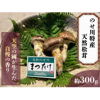 奈良県野迫川村産　松茸　300g
