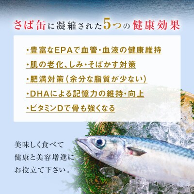 【12月配送】缶詰 さば缶詰 味噌煮 12缶 サバ缶 鯖缶 さば缶 鯖 味噌 国産 常温 長期保管 