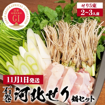 【11月1日発送】せり鍋 セット 2-3人前 せり 長ねぎ パックご飯 スープ 鶏肉 セリ セリ鍋