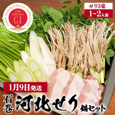 【1月9日発送】せり鍋 セット 1-2人前 せり 長ねぎ パックご飯 スープ 鶏肉 セリ セリ鍋