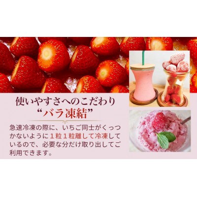 『今朝摘み』冷凍いちご『古都華』 1kg【令和6年 5月から順次発送】