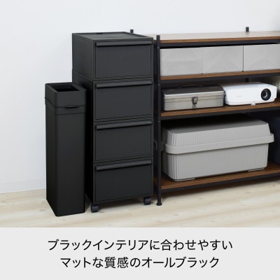 ライクイット　クローゼットシステム 引出し(L)　2個組　CS-D3 2P オールブラック