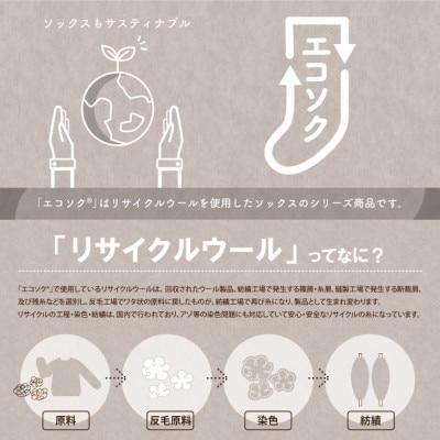 エコソク 足袋タイプ 3足組 (ベーシック) レディース 靴下 ウール