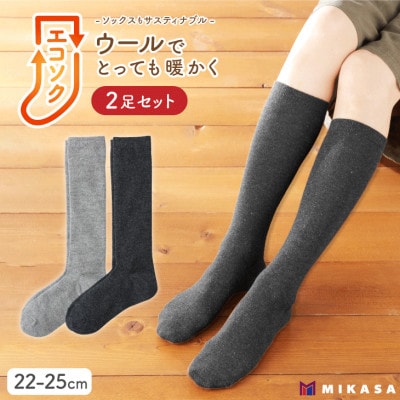 エコソク ハイソックス 2足組 (まったりカラー) レディース 靴下 ウール