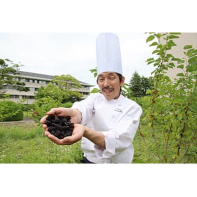 【大和高田市・葛城市共通返礼品】まる兄きっちん。&奈良文化高等学校のマルベリーチーズケーキ