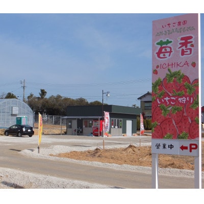 いちご狩り　招待券　お土産付き(2025年5月12日～6月1日まで)