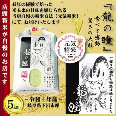 令和4年産 】龍の瞳 岐阜県下呂市産 5kg (オリジナル製法精米