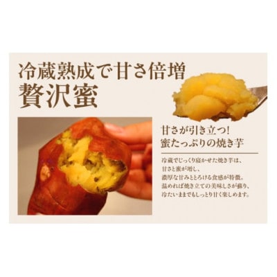 冷凍焼き芋3本セット
