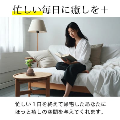 アクアプラントポット　玉S　コーヒーの木