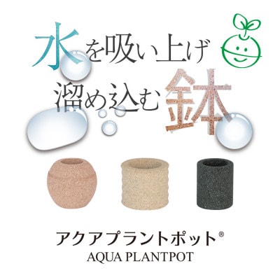 アクアプラントポット　玉S -アスパラガスナナス