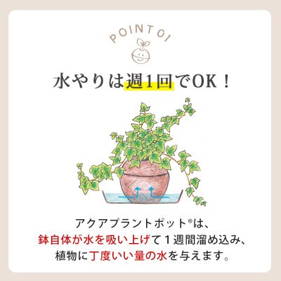 アクアプラントポット　玉S -テーブルヤシ