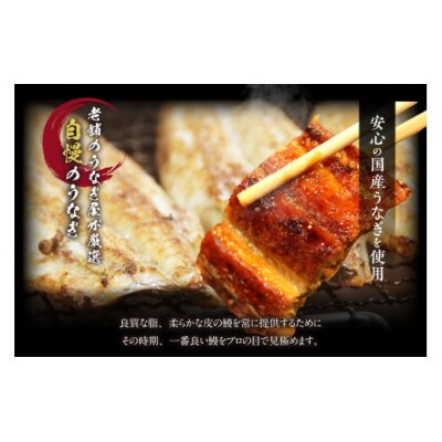国産特上うなぎ長焼き1尾