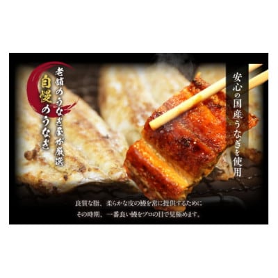 国産特上うなぎ長焼き(約200g)×3尾　合計600g以上