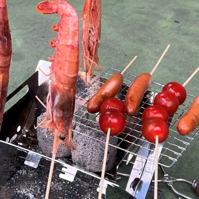 馬場製作所のコンパクトコンロ・焚き火台(焚火台)