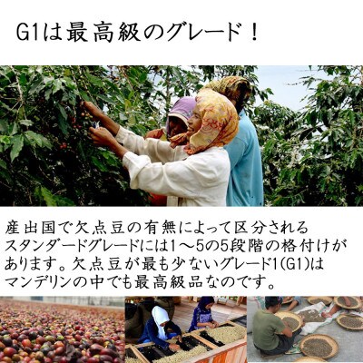 インドネシア コーヒー豆 400g(粉) 一度飲んだら“虜”に!新鮮な美味しさに驚くはず!!