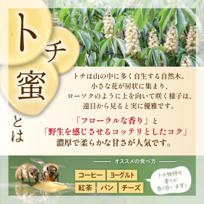 純粋はちみつ トチ 250g　P-001-C