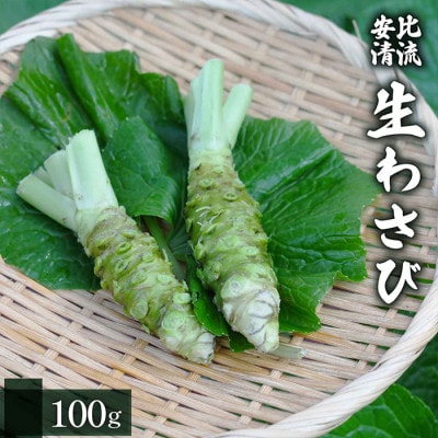 生わさび 100g 　AE-011-D