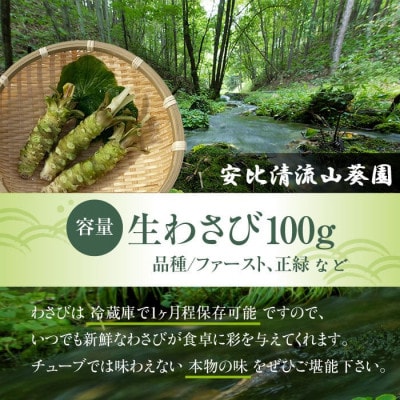 生わさび 100g 　AE-011-D