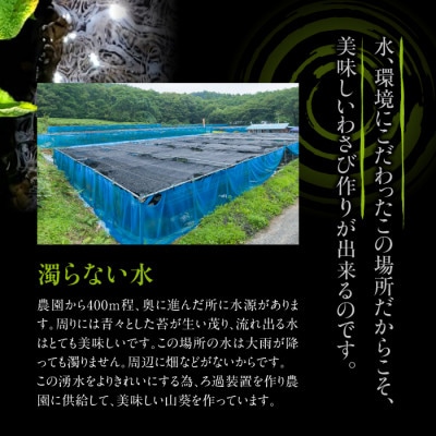 生わさび 100g 　AE-011-D