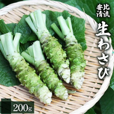 生わさび 200g 【安比清流山葵園】　AE-001-D