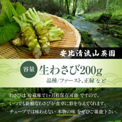 生わさび 200g 【安比清流山葵園】　AE-001-D