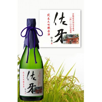 英勲 佐牙(さが)純米大吟醸原酒