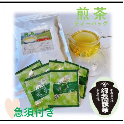 <産地直送>京都宇治茶 奥西緑芳園のお手軽煎茶のティーバックと急須セット