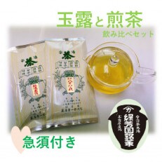 京都宇治茶　奥西緑芳園の玉露・煎茶飲み比べ急須セット。熱湯玉露100g袋入り・八十八夜100g袋入り